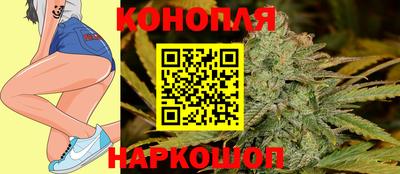 гашик Кунгур